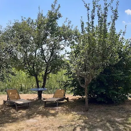 Ferienhaus Jolie A 100 M De L'etang *